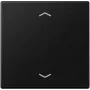 Jung control button Standard arrows A1700BFPSWM (A1700BFPSWM)