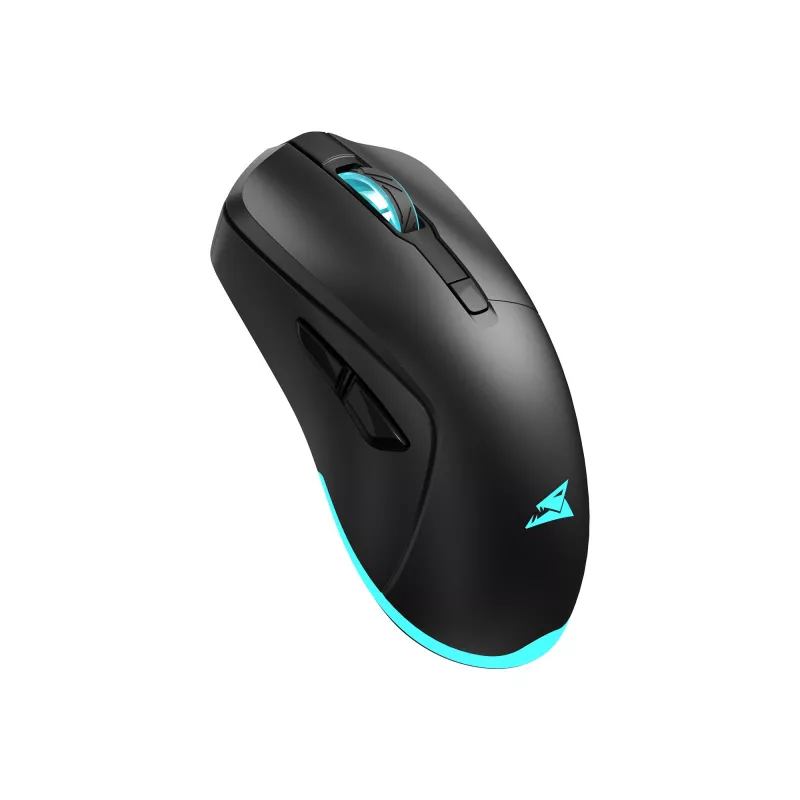 Mouse Baracuda BGM-121 Turtle Black USB