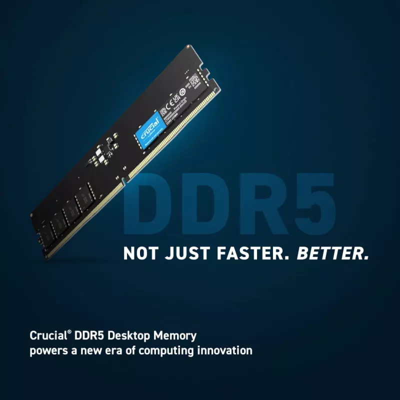 DIMM 32 GB DDR5-5600 (2x 16 GB) Dual-Kit, Arbeitsspeicher schwarz, CT2K16G56C46U5