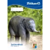 Art paper pad Pelikan 224840