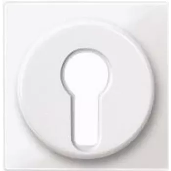 Merten 319519 Networking Device White