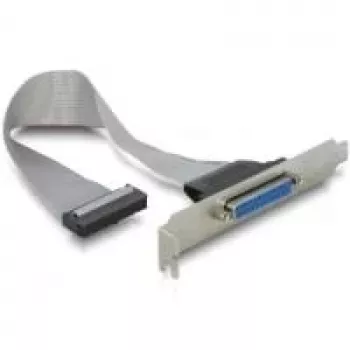 SATA cable DeLOCK 84300 0.22 m Female/Female