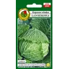 Vegetable Seeds Apte Savoy Cabbage Langedijska — seed pack 2 g