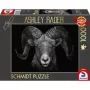Ashley Rader: Dominance - Widder, Im Zeichen des Feuers, Puzzle 1000 Pieces
