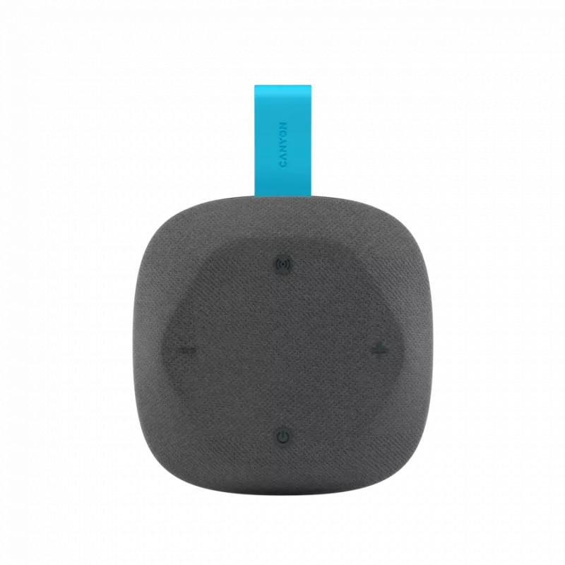 Canyon Hexagon 10 - Bluetooth 5.3 speaker - USB-C - Card Reader - IPX5 - blue-grey