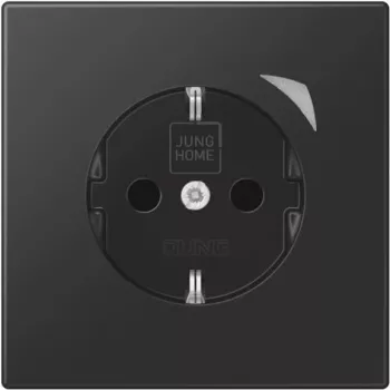 Jung HOME SCHUKO BTLS1521SSWM Socket Outlet 1 (BTLS1521SSWM)