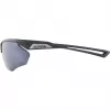 Alpina Nylos HR Sunglasses cat. 3 Grey