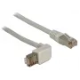 Networking Cable DeLOCK 1m Cat.5e RJ-45 S/FTP Grey