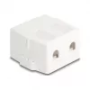 Snap-in frame DeLOCK 85843 Plastic White 545x573x324 mm