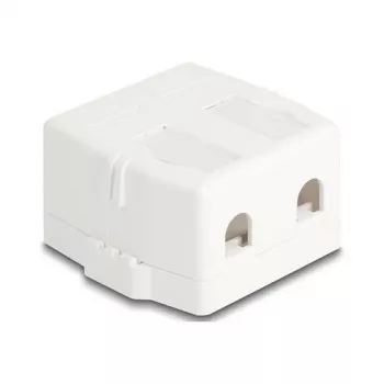 Snap-in frame DeLOCK 85843 Plastic White 545x573x324 mm