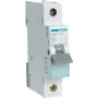 Circuit breaker Hager MBN110 1P, 10 A, 50–60 Hz