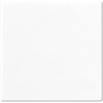 Switch actuator cover plate Jung A 590 WW White - wall switch accessory, white finish