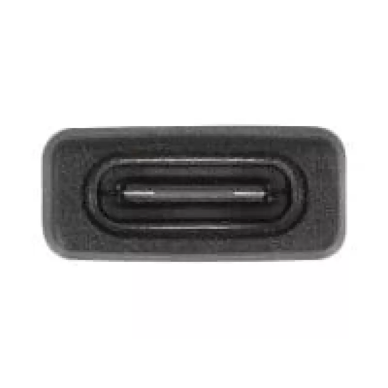 DeLOCK 60001 Cable Gender Changer USB A USB C Black