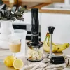 Adler Hand Blender | AD 4620 | Hand Blender | 800 W | Number of speeds 2 | Black