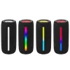 Stereo portable speaker TRACER Stripe Black — 10 W RMS, Bluetooth/Wired, USB-A & USB-C, MicroSD, built-in battery (up to 5 h)