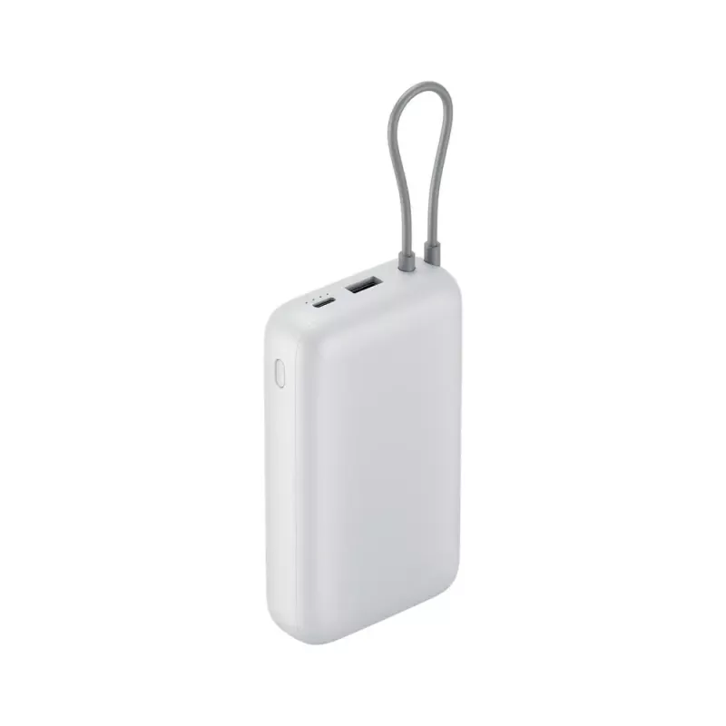 Portable charger Xiaomi Power Bank 20000mAh — high-capacity power bank, dual USB output