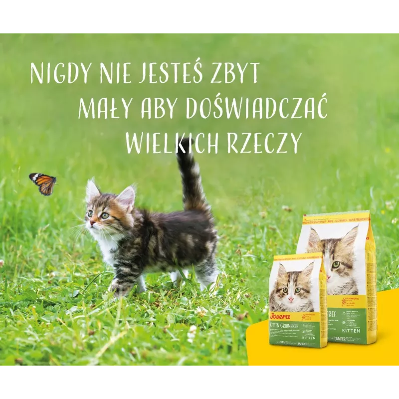 Dry Cat Food Josera Kitten Poultry 2 kg