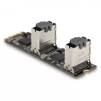 DeLOCK Converter M.2 2280 Key B+M male to 8 x SATA