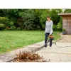 Black & Decker BEBLV300-QS leaf blower