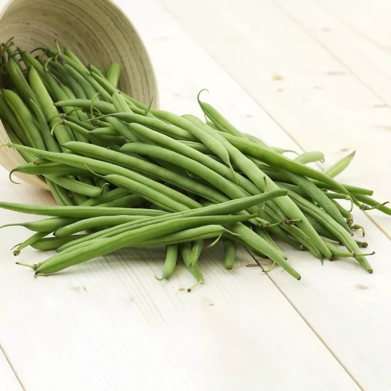 Nomad Green Dwarf Bean Seeds, 50g - Vegetable Seeds