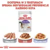 ROYAL CANIN FHN Sterilised in sauce - wet food for adult cats - 12x85g