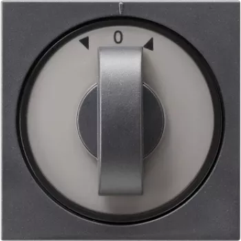 GIRA 066628 Wall Plate/Switch Cover Anthracite (066628)