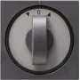 GIRA 066628 Wall Plate/Switch Cover Anthracite (066628)