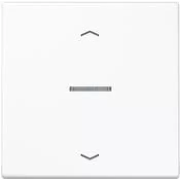Jung LS101KO5PWW Networking Device