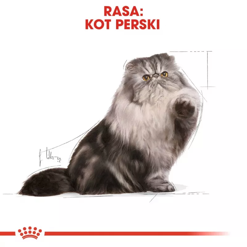 Royal Canin Persian Adult Dry Cat Food 4 kg, Maize, Poultry