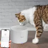 Pet water dispenser Tellur TLL331471 2L White — 2-litre automatic water bowl for cats and small dogs