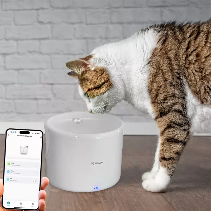 Pet water dispenser Tellur TLL331471 2L White — 2-litre automatic water bowl for cats and small dogs