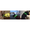 LED collar Anicoll Green for dogs and cats Model rechargeable lighting