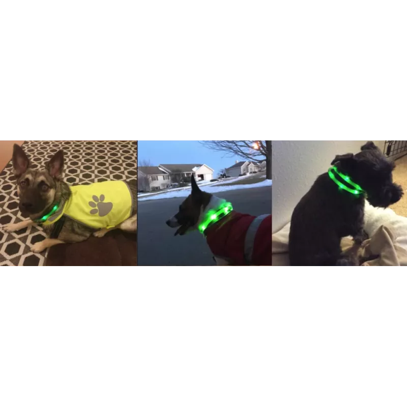LED collar Anicoll Green for dogs and cats Model rechargeable lighting