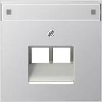 Jung Cover Plate AL2969-2NAUA for IAE/UAE (AL2969-2NAUA)