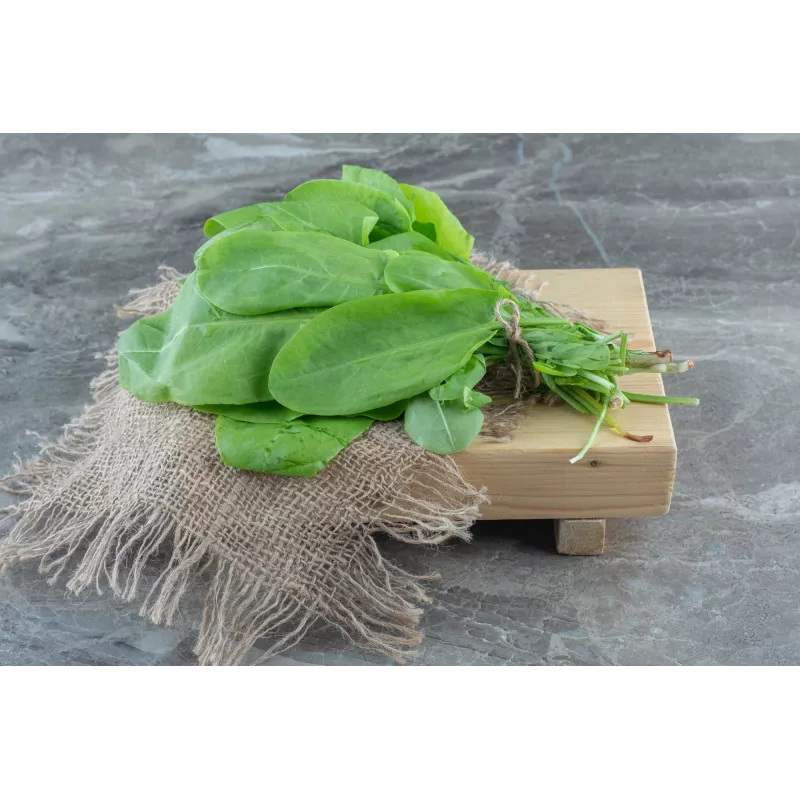 New Zealand Spinach Toraf Vegetable Seeds, 5g Package