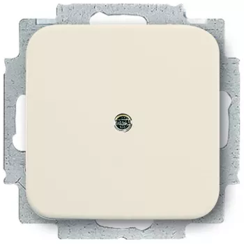 BUSCH-JAEGER Blindabdeckung 2538-212 Duro 2000 SI Tragring weiss 2538-212 (1715-0-0218)