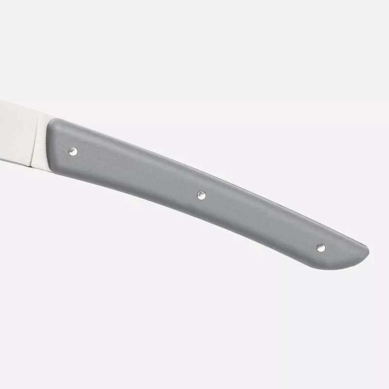 Berkel steak knife set 4-piece Color Grey