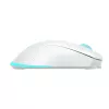 Mouse Baracuda BGM-122 Turtle White TURTLE-W