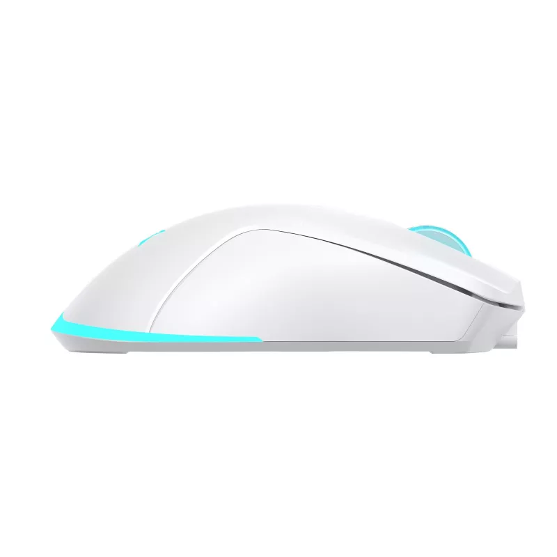 Mouse Baracuda BGM-122 Turtle White TURTLE-W