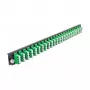 Splice Box Front Panel DeLOCK 19 inch 43370 24 port LC Quad green