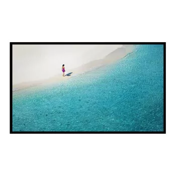 Projection screen BlitzWolf BW-VS4100 100-inch fixed-frame projection screen