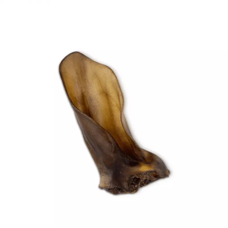 UNISZKI Medium Beef Ear Dog Treat, 1 pc