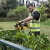 Power hedge trimmer DeWALT DCM563P1-QW