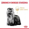 Dry dog food Royal Canin Yorkshire Terrier 8+ 3 kg — poultry, for senior Yorkshire Terriers, protein 29%, fat 18%