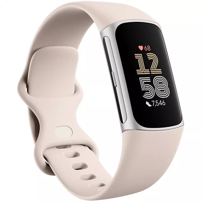Fitbit GA05185-EU Product Silver