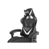 FURY Avenger L Universal gaming chair Padded seat Black