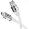 Goobay 74176 - Network Adapter Cable USB 3.1 Type C Gigabit Ethernet 2 m - Network Card - 1.000 Mbps (74176)