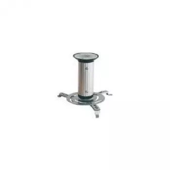 Ceiling Mount ShiverPeaks BS89760