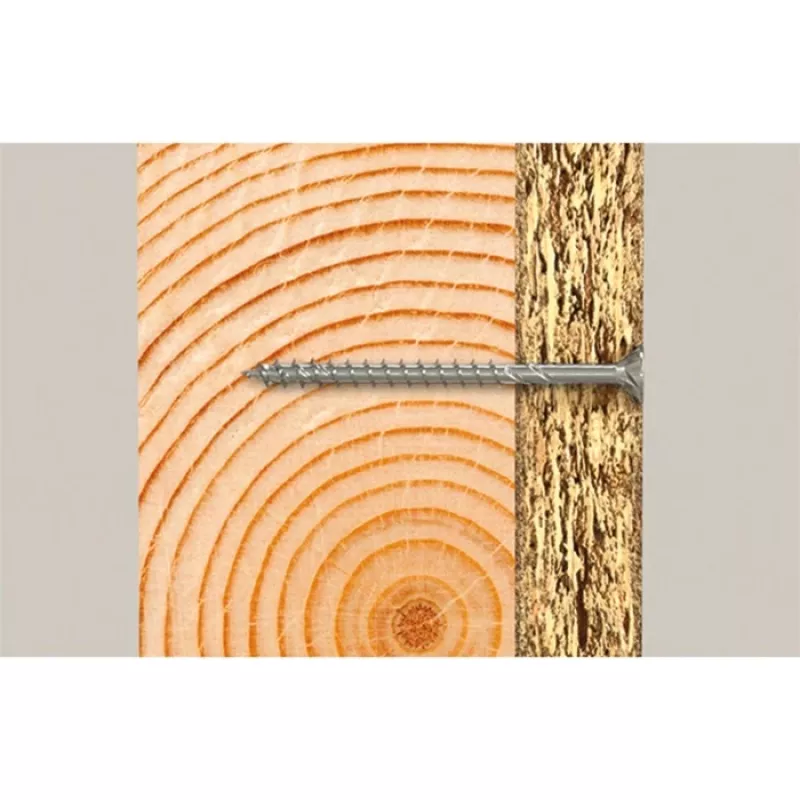 Fischer 670512