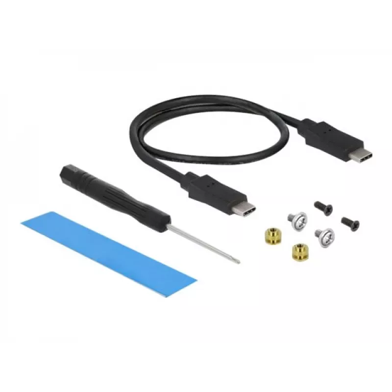 SSD enclosure DeLOCK External USB Type-C Combo Enclosure for M.2 NVMe PCIe or SATA SSD